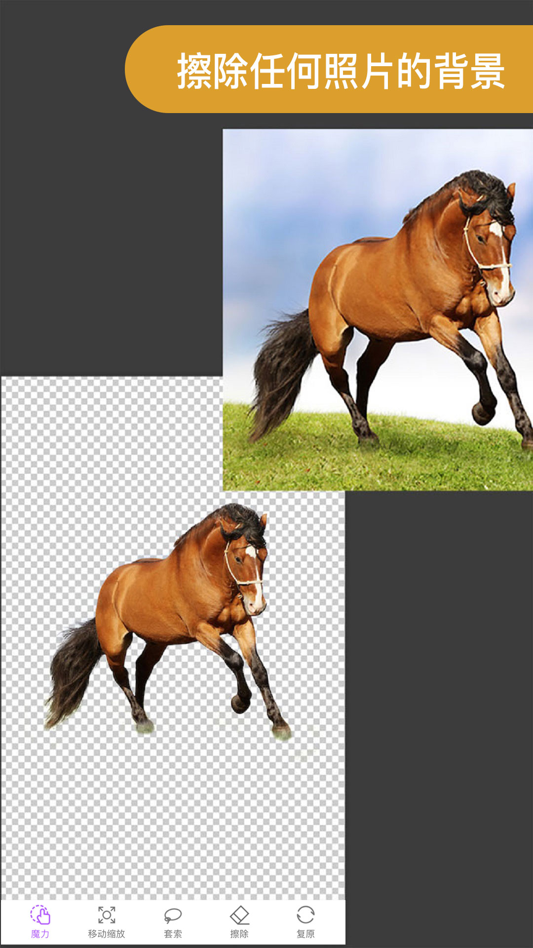 ProKnockout智能摳圖P圖截圖預(yù)覽