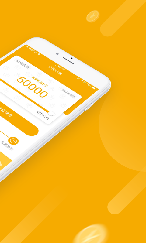 小花錢包截圖預(yù)覽