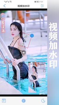 水印王截图