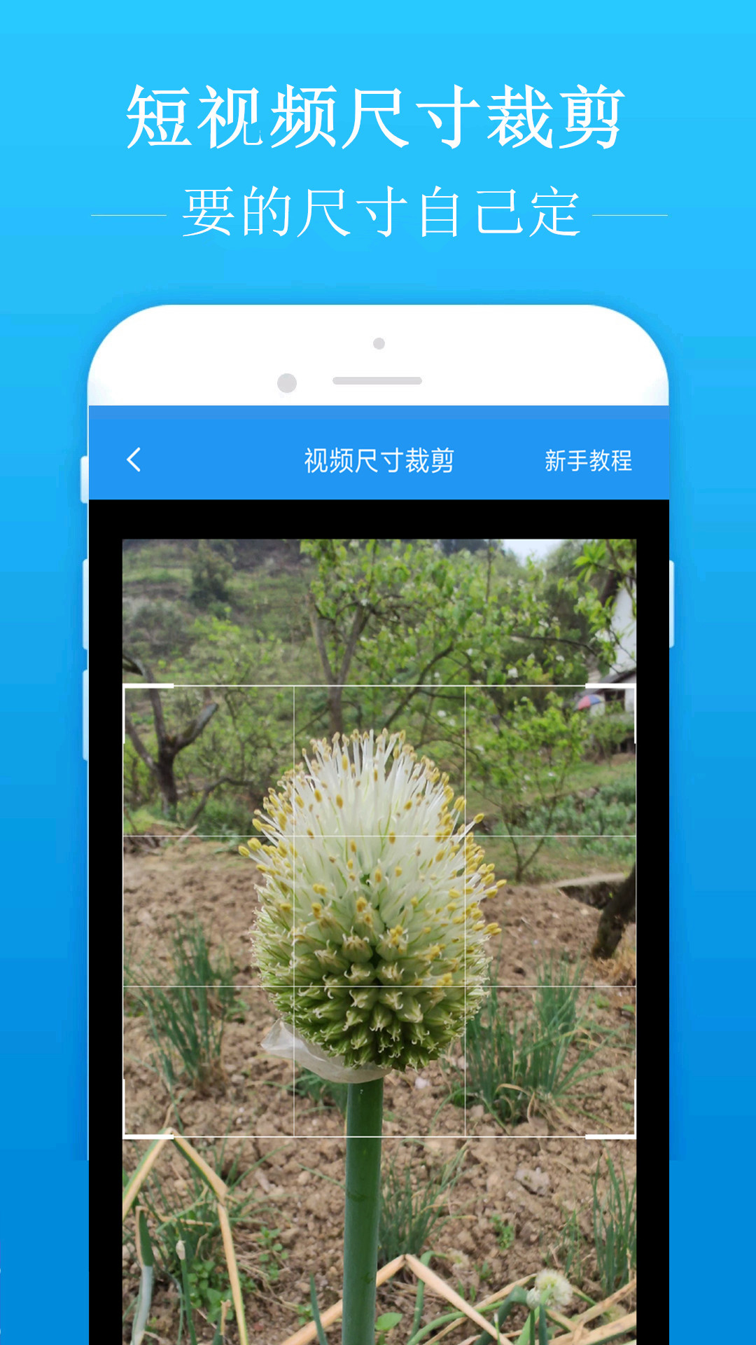 去水印吧v1.9.1截图3