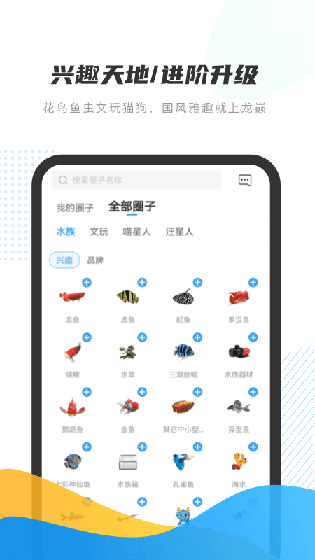 龙巅v6.0.0截图4