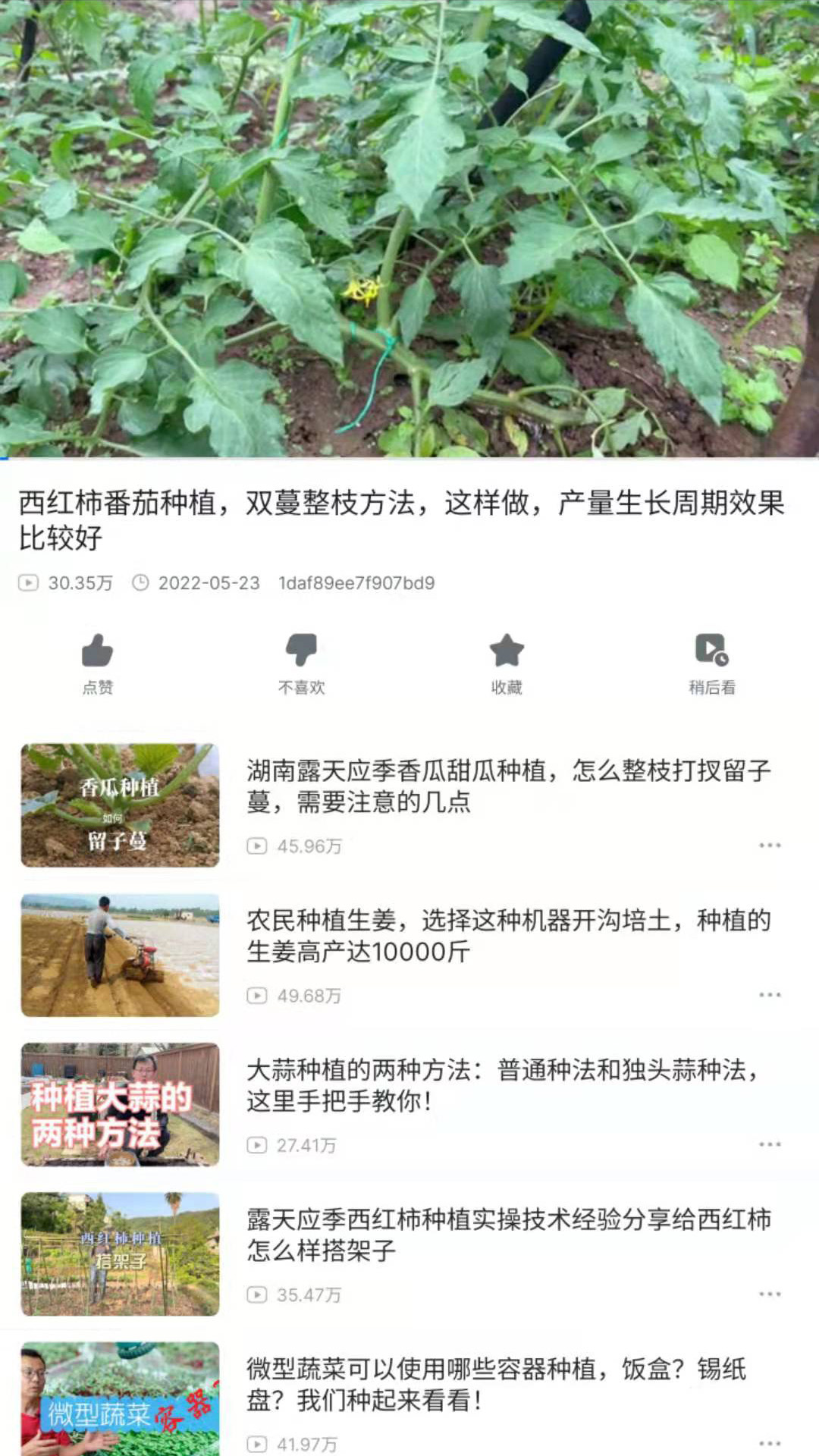 爷爷的农园v1.0截图1