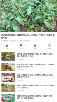 爺爺?shù)霓r(nóng)園截圖
