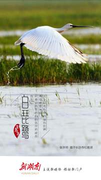 新湖南截圖