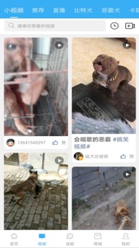 猛犬俱乐部应用截图2