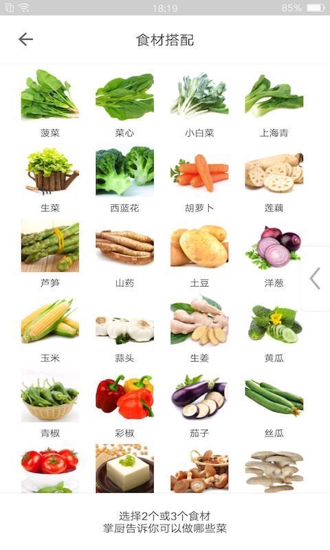 掌廚截圖預(yù)覽