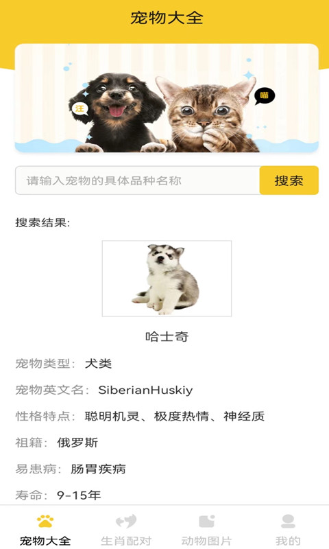 猫狗宠物大全截图1