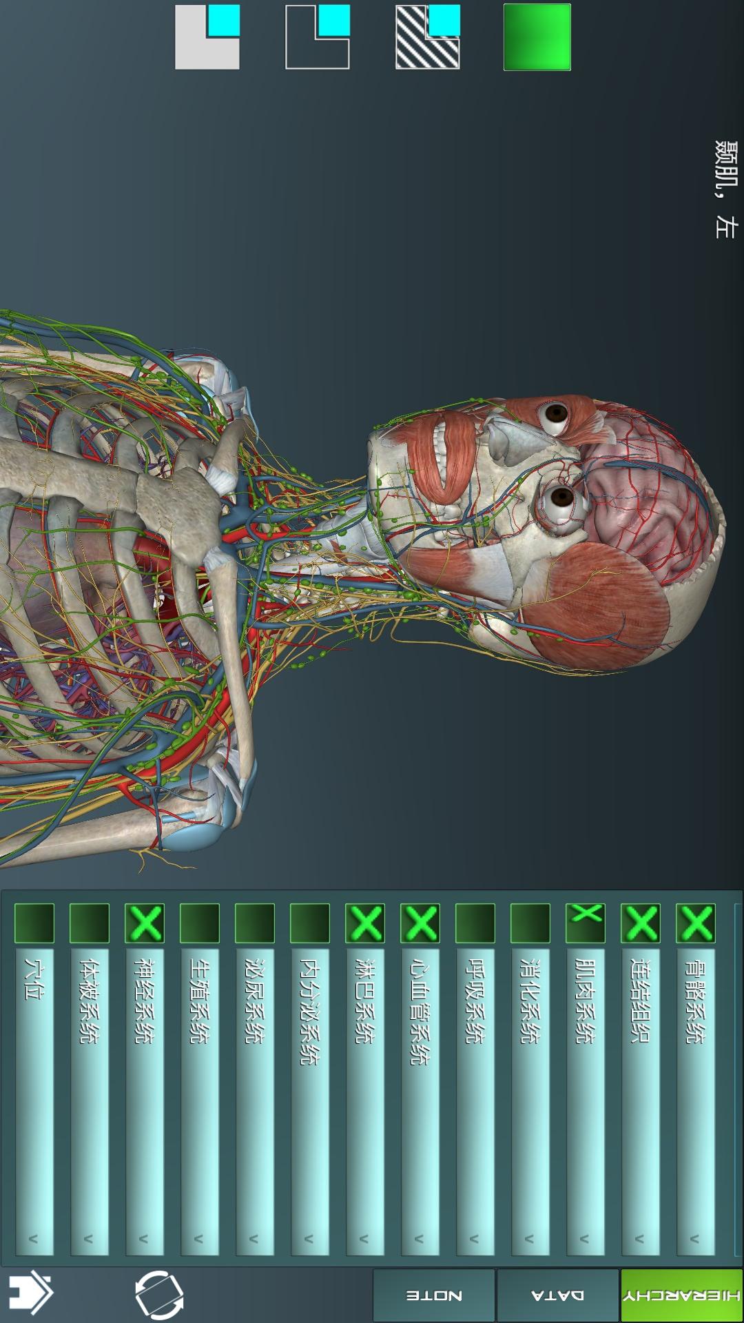 人体解剖学图谱截图2