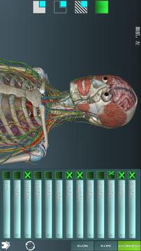 人体解剖学图谱截图