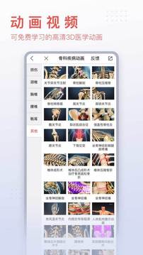 3Dbody解剖截圖