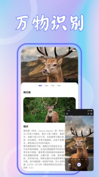 识花君植物识别应用截图2