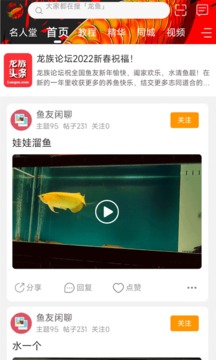 龙族应用截图1