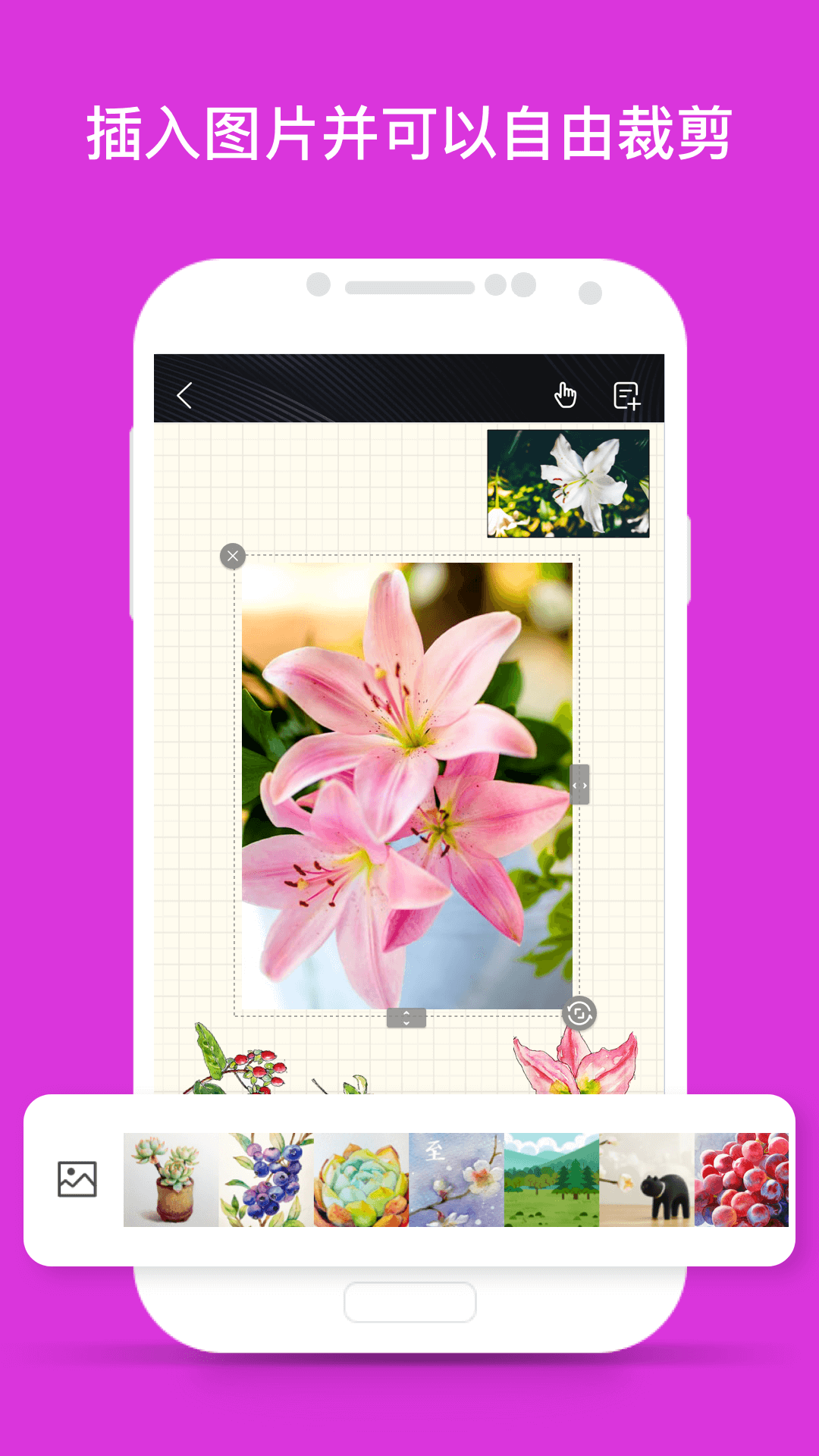 千本筆記截圖預(yù)覽