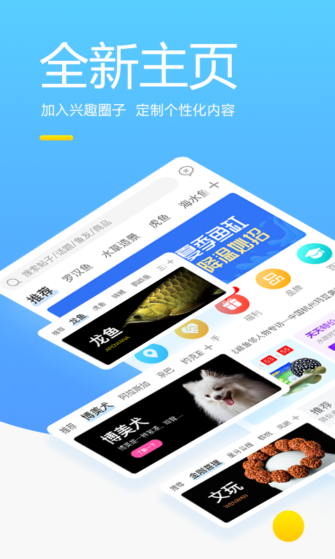 龙巅v6.0.2截图5