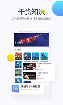 龍巔截圖