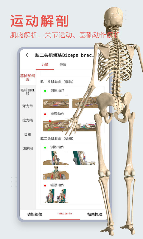 3Dbody解剖截圖預(yù)覽