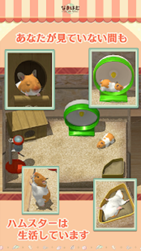 和倉(cāng)鼠一起生活截圖預(yù)覽