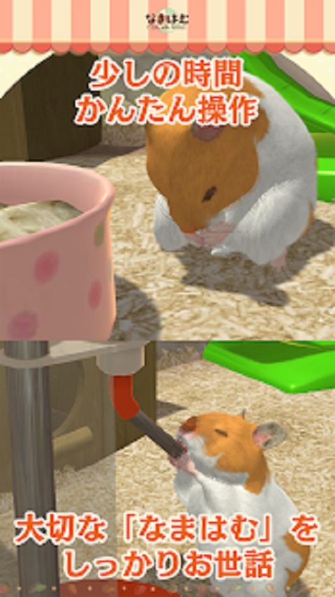 和倉(cāng)鼠一起生活截圖預(yù)覽
