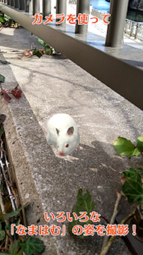 和倉(cāng)鼠一起生活截圖預(yù)覽