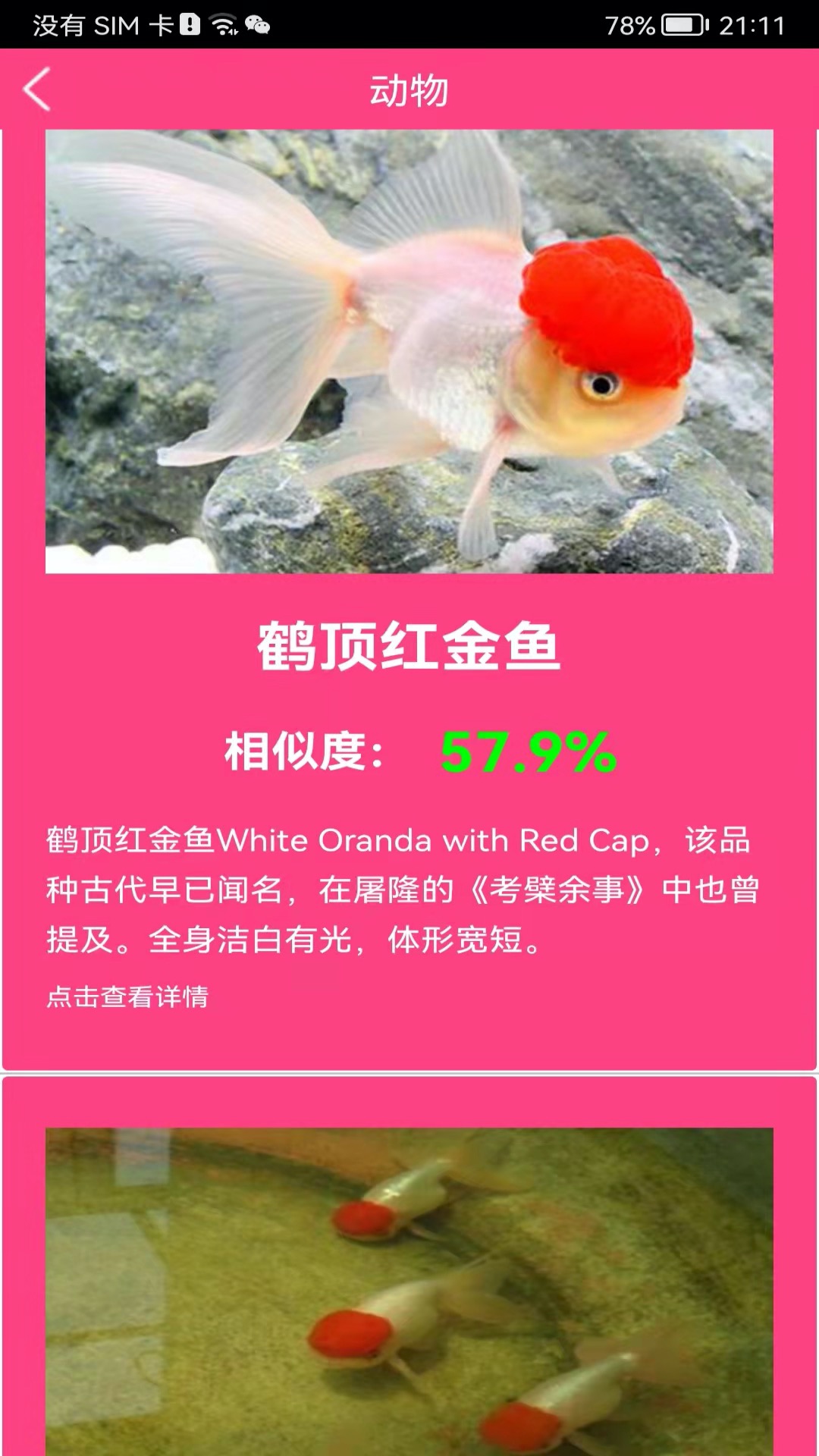 拍照識花神器截圖預(yù)覽