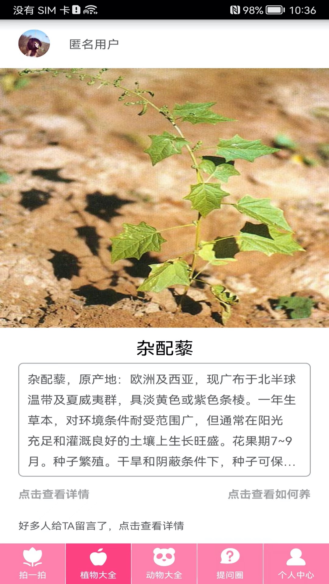 拍照識物截圖預(yù)覽