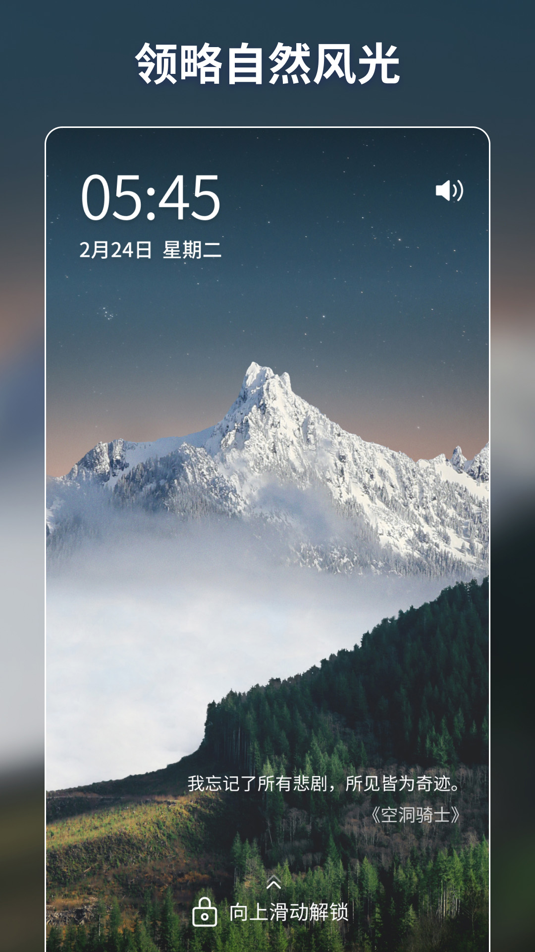 壁纸酱v1.8.1截图2