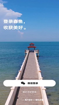 森魚截圖