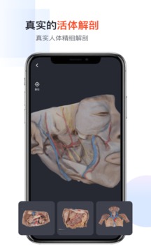 口袋人体解剖应用截图5