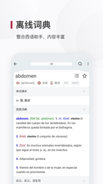 西语背单词应用截图3