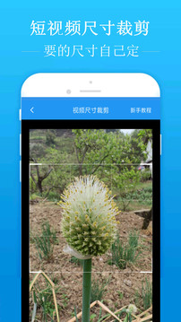 去水印吧应用截图2