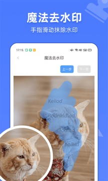 視頻去水印萬能寶截圖