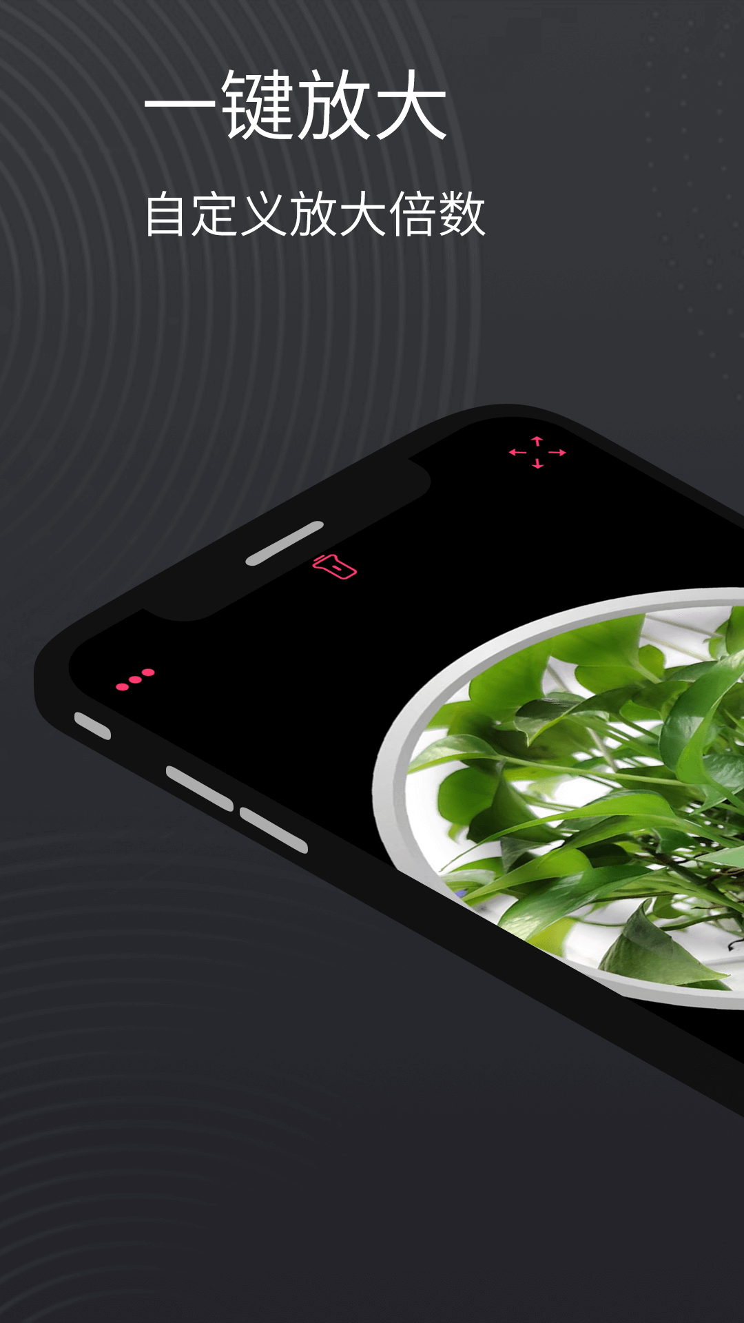 放大鏡截圖預(yù)覽