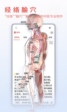 3Dbody解剖截圖
