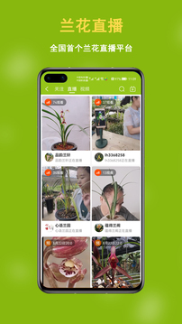 兰花交易网应用截图3