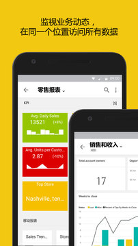 Power BI应用截图1