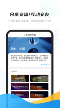 龙巅应用截图3