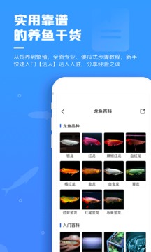 鯤天下截圖