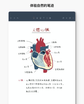 Noteshelf应用截图1