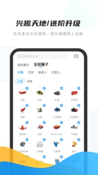 龙巅应用截图2