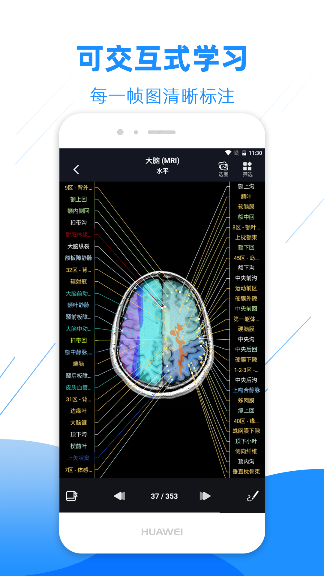 影像解剖图谱v3.4.0截图4