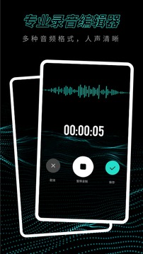 专业录音机应用截图1