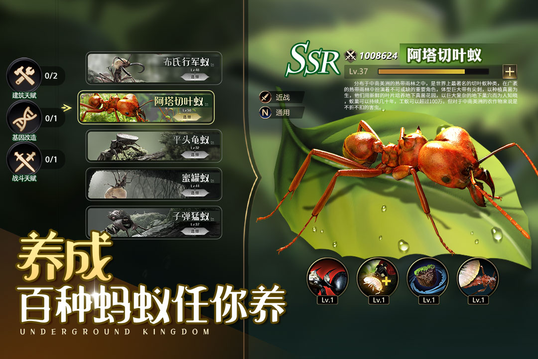 小小蟻國截圖預覽