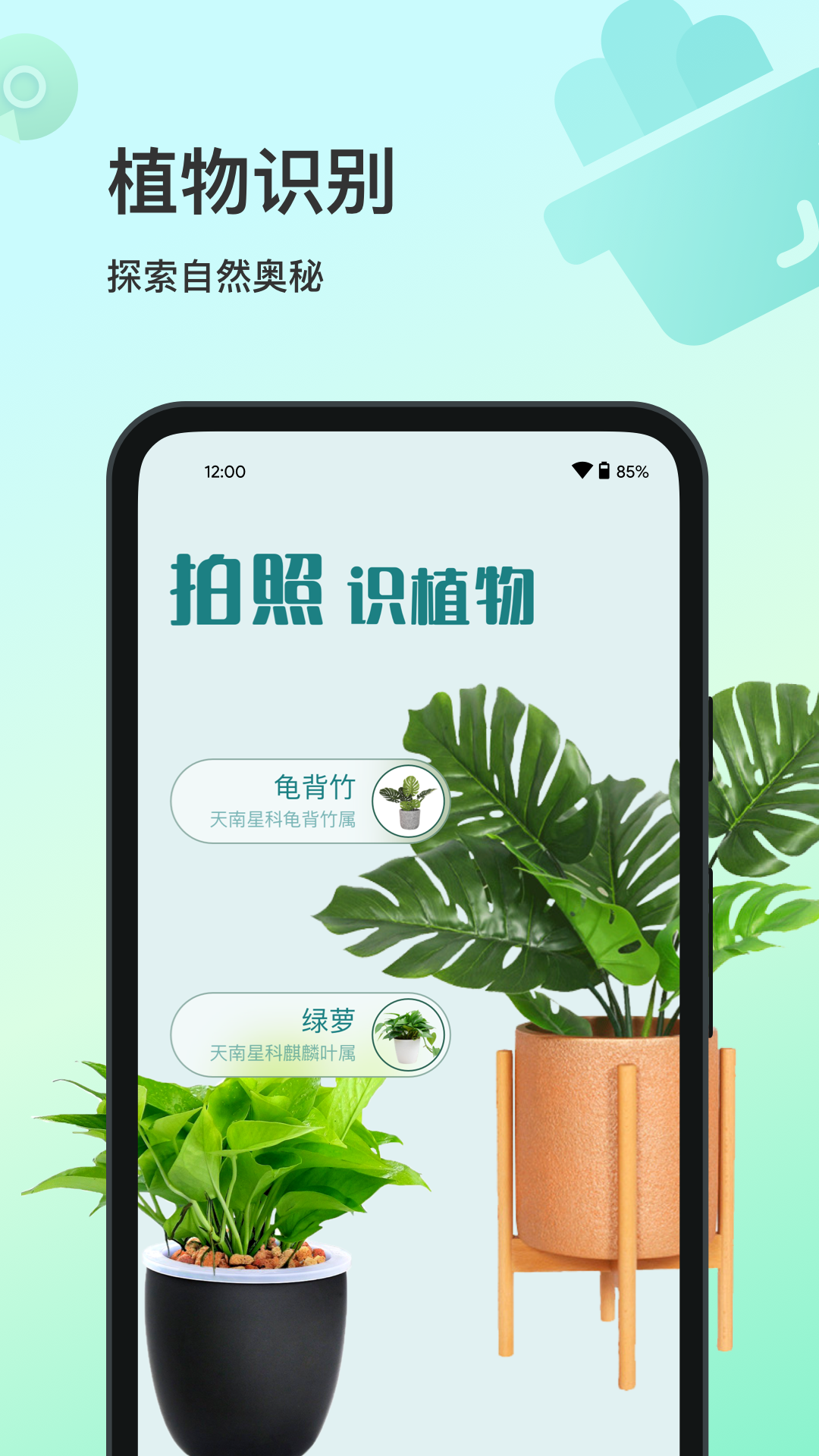 花卉识别v1.0.0截图5