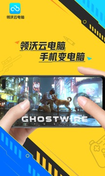 领沃云电脑截图