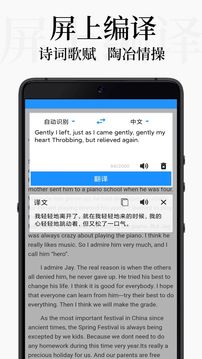DB翻譯截圖