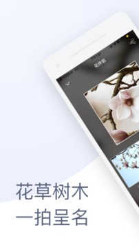 花伴侶截圖