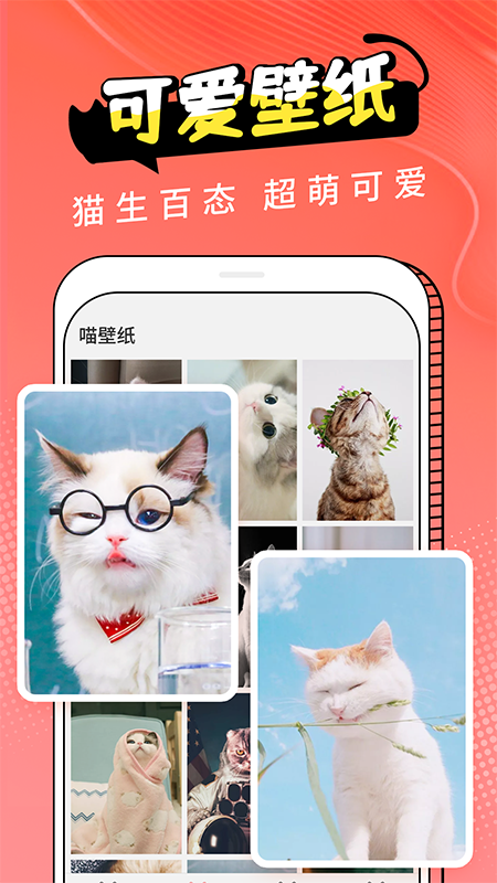 猫翻译截图3