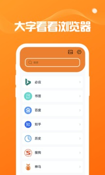 大字看看浏览器应用截图1