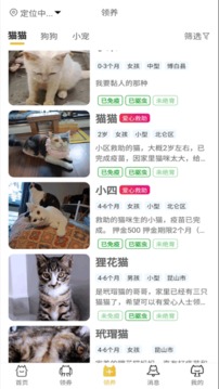 种猫家应用截图2