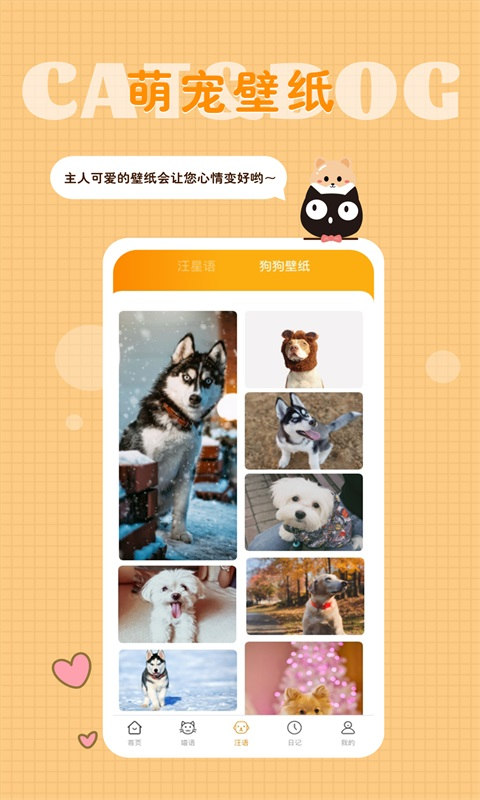 猫语狗语转换器v1.9.1截图1